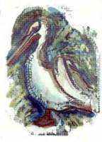 Pelican [Ink water color, chine colle lace paper, 22 1/2 x 30 in.]  1980