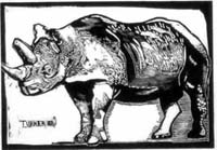 Rhinoceros [31 3/4 x 22 in.] 1988